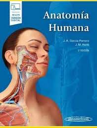 ESTRUCTURA Y FUNCIÓN DEL CUERPO HUMANO (copia)