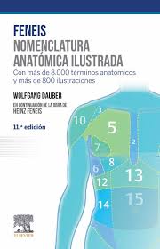 NOMENCLATURA ANATÓMICA ILUSTRADA